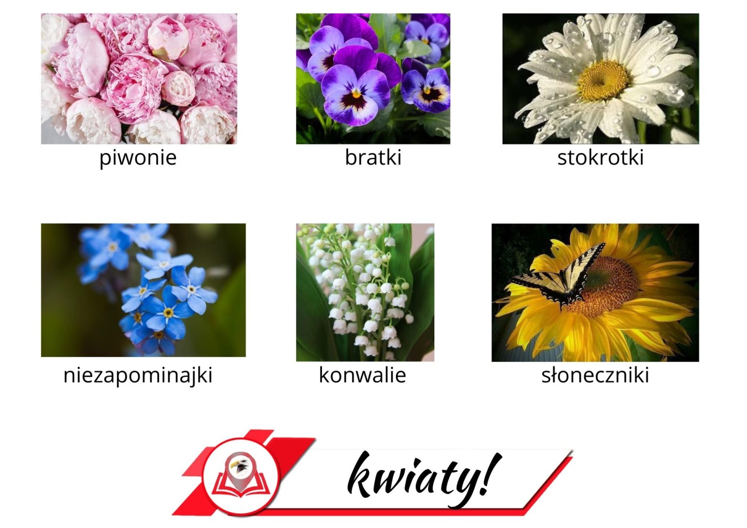 Flowers Polish Native